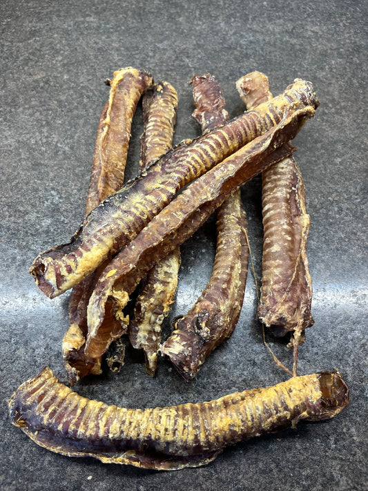 Trachea - Goat