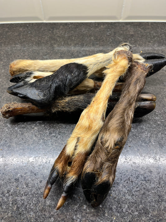 Hairy Foot - Goat