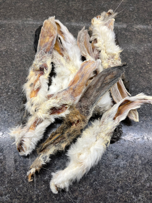 Hairy Ears - Rabbit