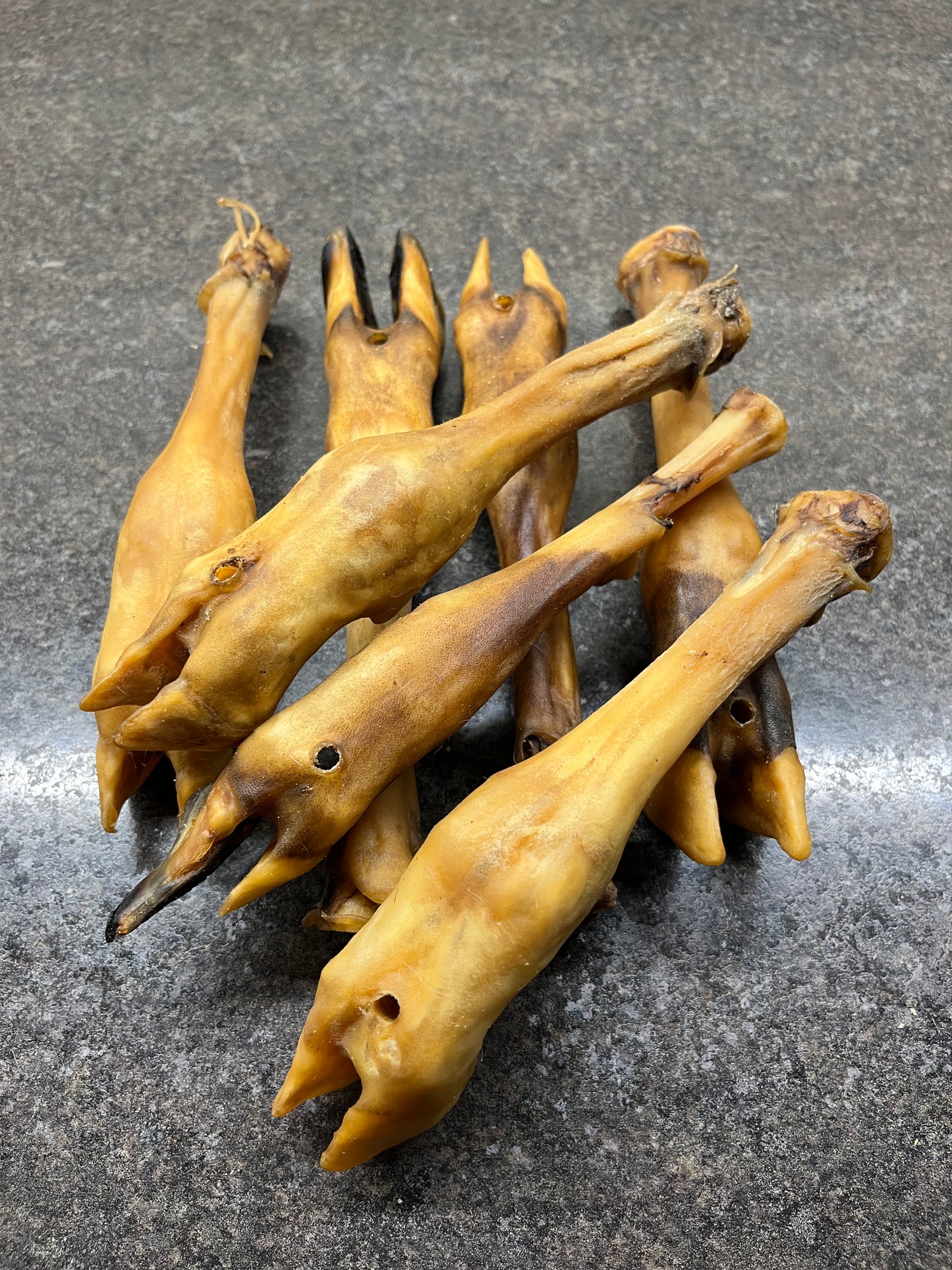 Trotter - Lamb