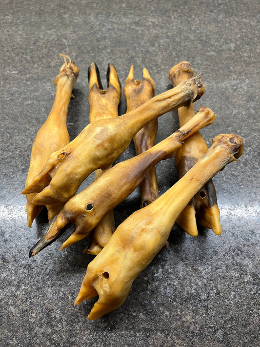 Trotter - Lamb