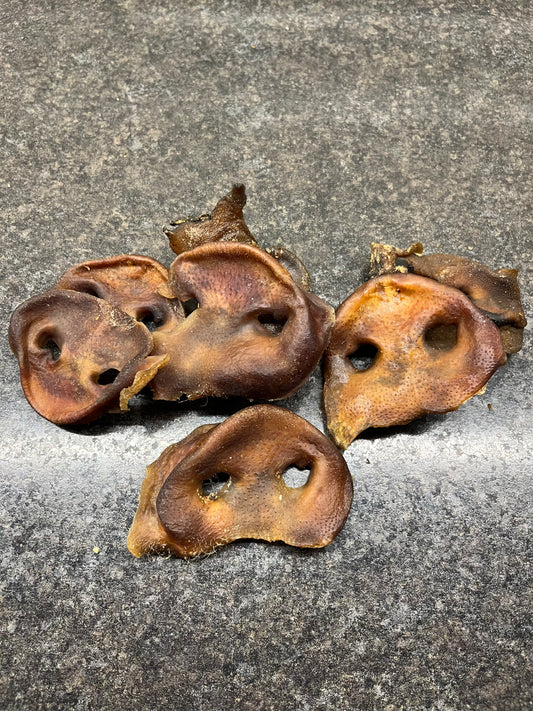 Snouts - Pork