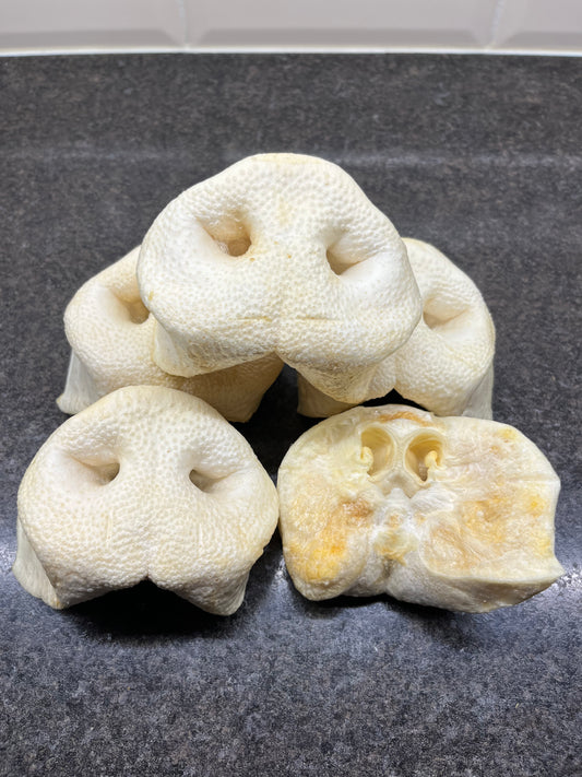 Puffed Snout - Pork