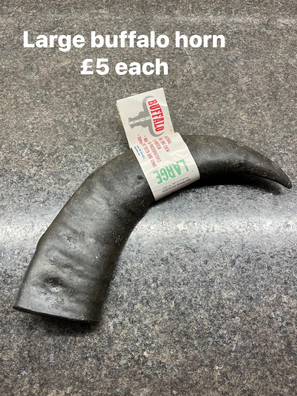 Buffalo Horns